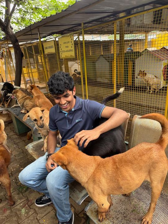 A volunteer sitting on a bench at the shelter with dogs gathered around him