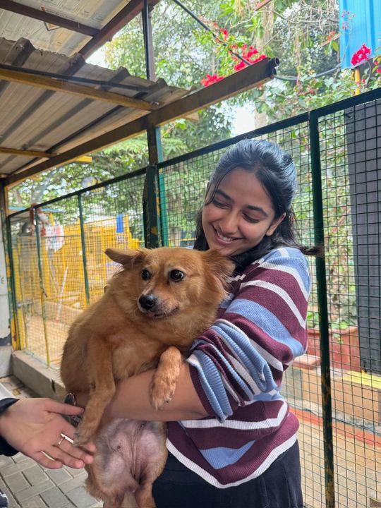 A volunteer smiling as she holds a fluffy golden rescue dog in her arms
